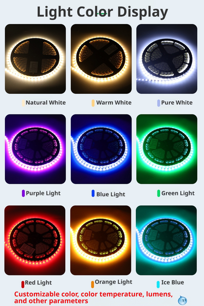 2835 S Shape LED Strip Light 12V IP65 Flexible Wave Strip for Sign Lighting